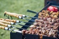 Barbecue shashlik kebab with winglets and tomatoes in chargrill semifinished on skewer side view closeup