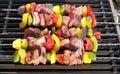 Barbecue. Shish kebab with peppers, onion, on hot grill Royalty Free Stock Photo