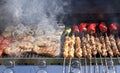 Barbecue. Shish kebab, steak, with grilled peppers and mushroom