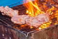 Barbecue in a simple way in wild, collect stones as grill Royalty Free Stock Photo