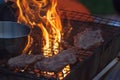 Barbecue in a simple way in wild, collect stones as grill Royalty Free Stock Photo