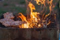 Barbecue in a simple way in wild, collect stones as grill Royalty Free Stock Photo