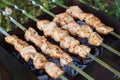 Barbecue skewers with meat on the brazier. Chicken shish kebab Royalty Free Stock Photo