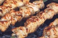 Barbecue skewers with meat on the brazier. Chicken shish kebab Royalty Free Stock Photo