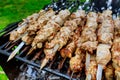Barbecue skewers meat kebabs with grill Royalty Free Stock Photo