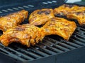 Barbecue spare ribs on the grill Royalty Free Stock Photo