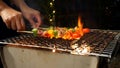 Barbecue Spicy fire on the  flaming grill.Grilled vegetable,pork and chicken skewers with bell peppers.Dinner party barbecue and Royalty Free Stock Photo