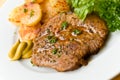 Barbecue with steaks of pork,fried potatoes,salad Royalty Free Stock Photo