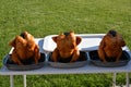 Three chicken for barbecue Royalty Free Stock Photo