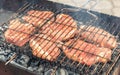 Barbecue with tasty grilled meat on grill, closeup. Barbeque party