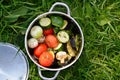 Barbecue vegetables eggplant, marrow, tomato, champignon, peppers inside the pan Royalty Free Stock Photo