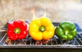 Barbecue vegetables (peppers, paprika) on the grill.