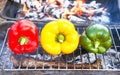 Barbecue vegetables (peppers, paprika) on the grill. Royalty Free Stock Photo