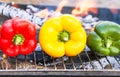 Barbecue vegetables (peppers, paprika) on the grill. Royalty Free Stock Photo