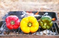 Barbecue vegetables (peppers, paprika) on the grill. Royalty Free Stock Photo