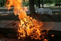 Barbecue in the woods. Fire, firewood