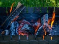 barbecue woods, flame fire, ash coals burning in metal grill preparing for BBQ