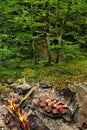 Barbecue in the woods