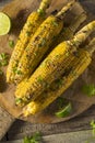 Barbecued Homemade Elote Mexican Street Corn Royalty Free Stock Photo
