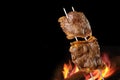 Barbecued Picanha barbecue with blurred fire in the background. Churrasco or churrasquinho.