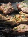 Barbecued steak and chicken on the grill Royalty Free Stock Photo