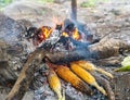 Barbecued Sweet Corn