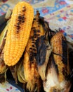 Barbecued sweetcorn on a market stall Royalty Free Stock Photo