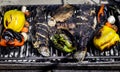 Barbecuing an assortment of red, yellow and green capsicum,  mushrooms, and trout fish Royalty Free Stock Photo