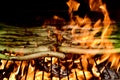Barbecuing calcots, sweet onions typical of Catalonia, Spain Royalty Free Stock Photo