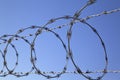 Barbed Concertina Wire on Fence, Security Device Royalty Free Stock Photo