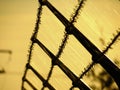 Barbed fence, cobweb in autumn sunset