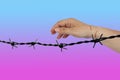 Barbed iron wire, symbol of restriction of freedom and a female hand with bloody scratches