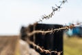 Barbed metal wire on a wooden fence. Selective focus Royalty Free Stock Photo