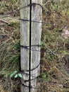 Barbed rusty wire on an old wooden post, fence, details of the prison. Royalty Free Stock Photo