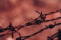 Barbed rusty wire spiral security barrier, prison fencing. Royalty Free Stock Photo