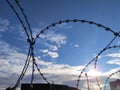 Barbed twisted wire metal fence close view photo