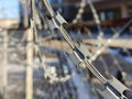 Barbed twisted wire metal fence close view photo