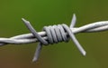 Barbed wire