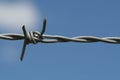 Barbed wire Royalty Free Stock Photo