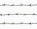 Barbed wire Royalty Free Stock Photo