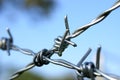 Barbed wire Royalty Free Stock Photo