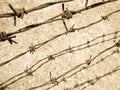 Barbed wire Royalty Free Stock Photo