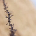 Barbed Wire