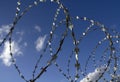 Barbed wire Royalty Free Stock Photo