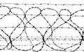 Barbed wire