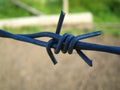 Barbed Wire Royalty Free Stock Photo