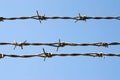 Barbed wire Royalty Free Stock Photo