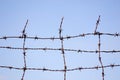 Barbed wire Royalty Free Stock Photo