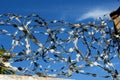 Barbed wire Royalty Free Stock Photo