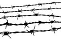 Barbed wire Royalty Free Stock Photo